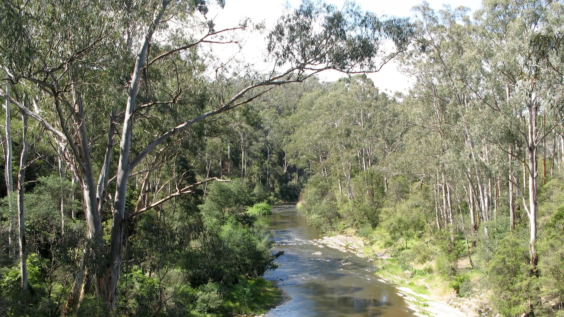 Picnic landscape beside the Yarra at Pound Bend