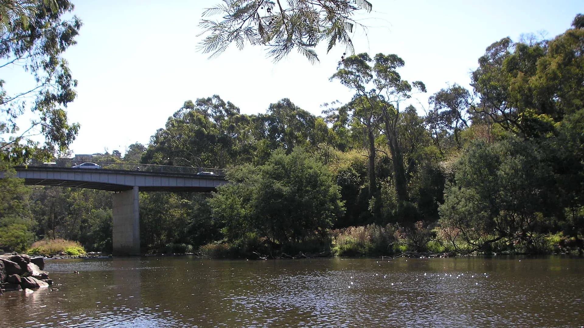 Warrandyte Bridge over the Yarra River with bushland beyond