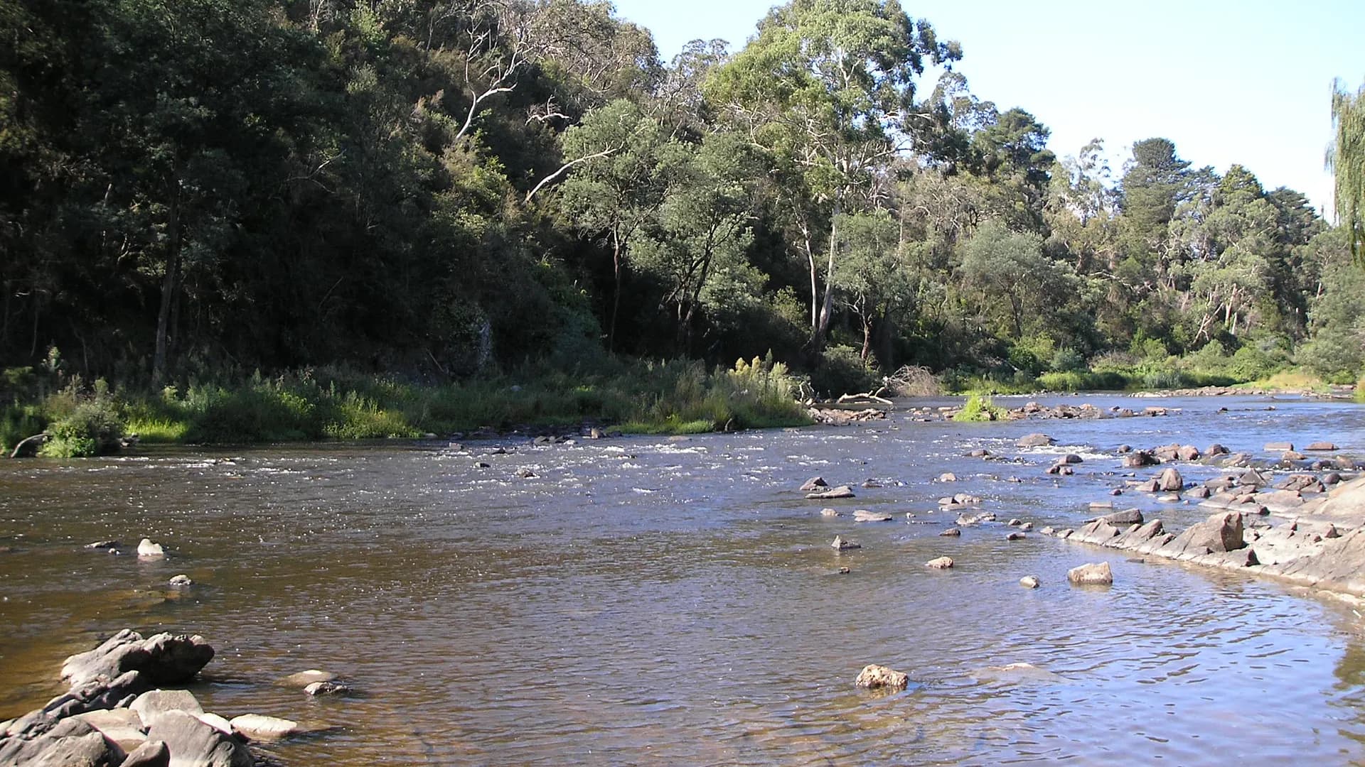 The Yarra River at Warrandyte flowing past woodland banks